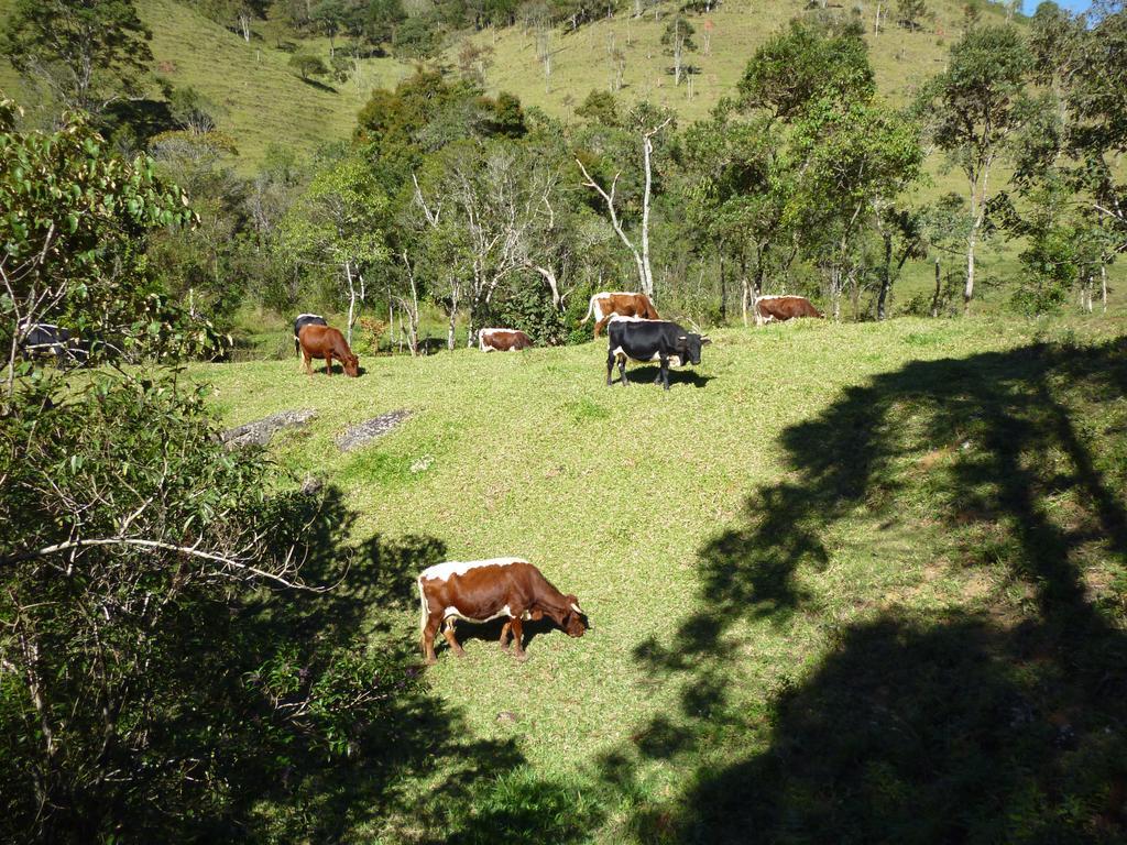 Apartamento Ferias Fazenda Usina 1 Bocaina de Minas Luaran gambar