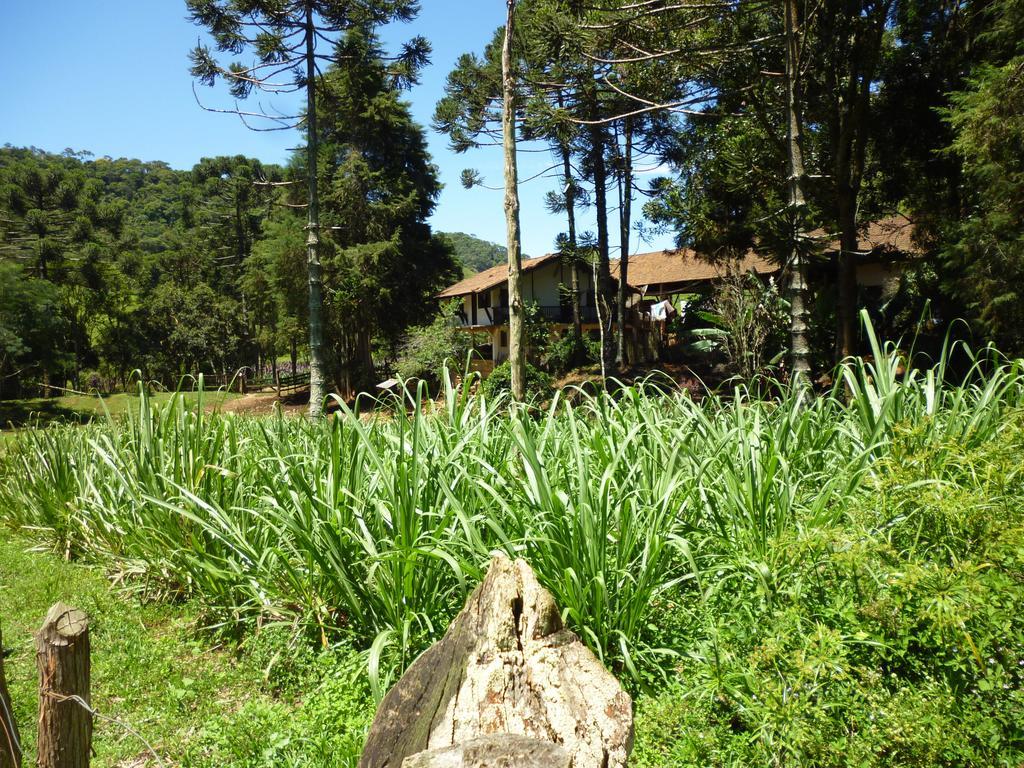 Apartamento Ferias Fazenda Usina 1 Bocaina de Minas Luaran gambar