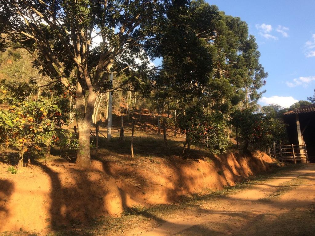 Apartamento Ferias Fazenda Usina 1 Bocaina de Minas Luaran gambar