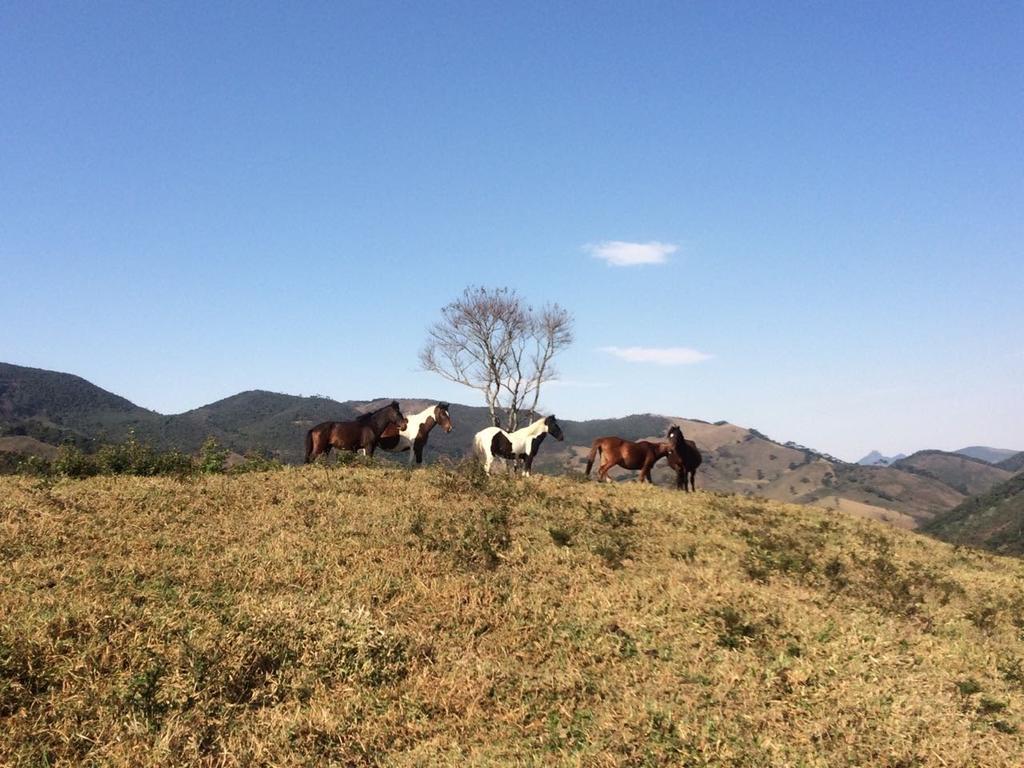 Apartamento Ferias Fazenda Usina 1 Bocaina de Minas Luaran gambar