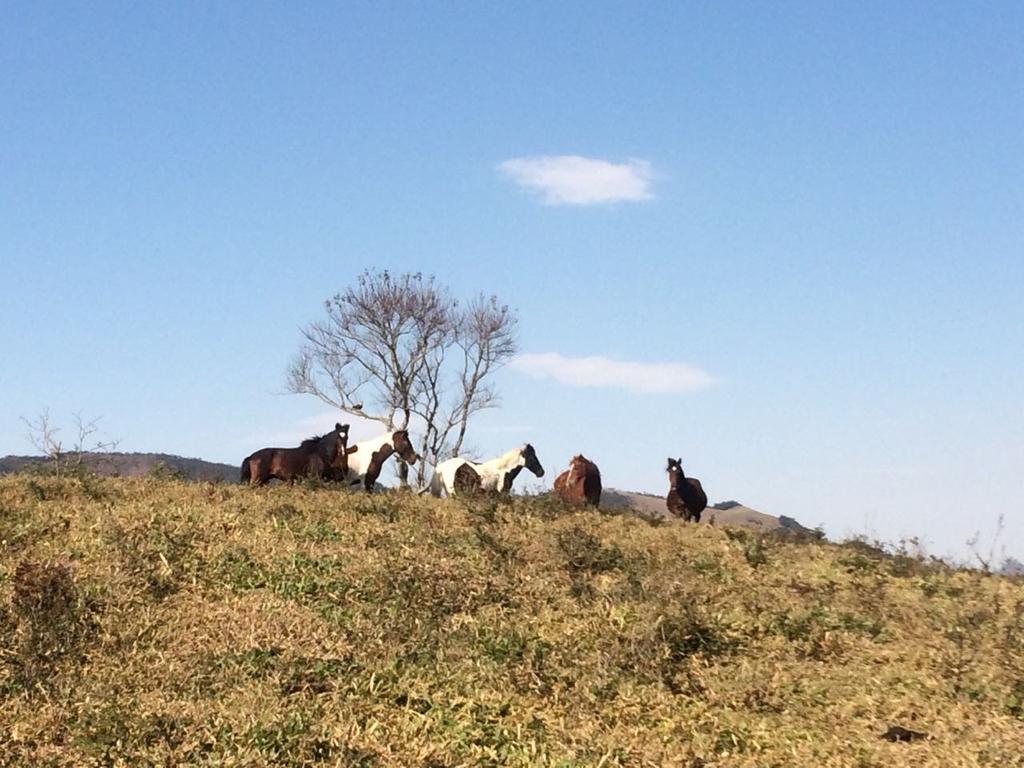 Apartamento Ferias Fazenda Usina 1 Bocaina de Minas Luaran gambar