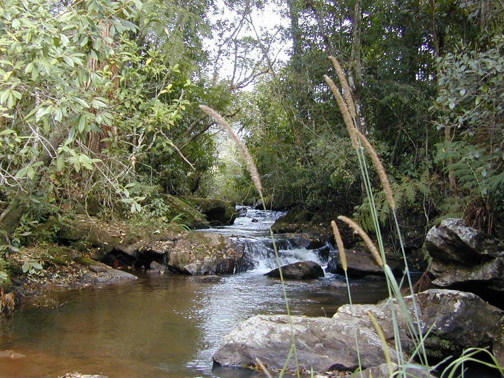 Apartamento Ferias Fazenda Usina 1 Bocaina de Minas Luaran gambar