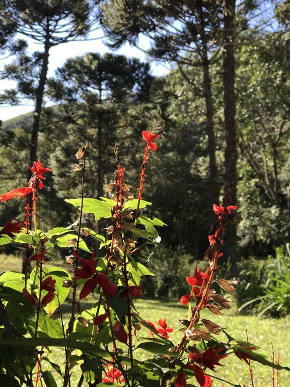 Apartamento Ferias Fazenda Usina 1 Bocaina de Minas Luaran gambar