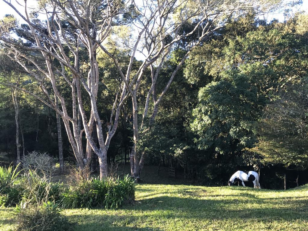 Apartamento Ferias Fazenda Usina 1 Bocaina de Minas Luaran gambar